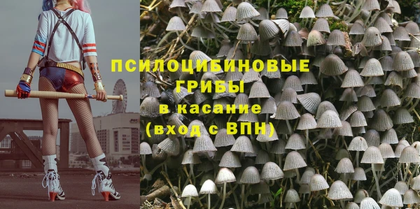 бошки Покачи
