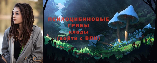 бошки Покачи