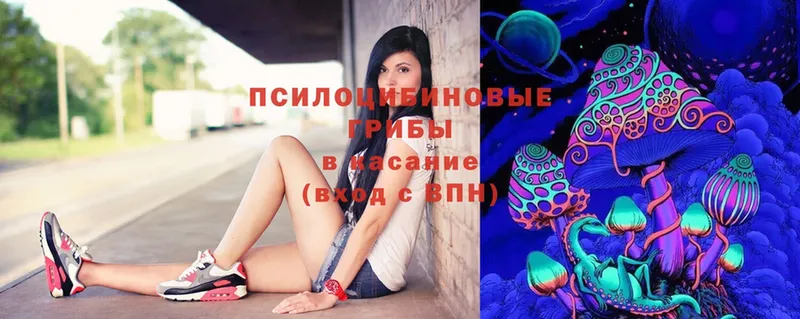 Псилоцибиновые грибы Magic Shrooms  Зеленоградск 