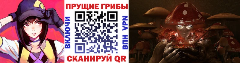Псилоцибиновые грибы GOLDEN TEACHER Зеленоградск